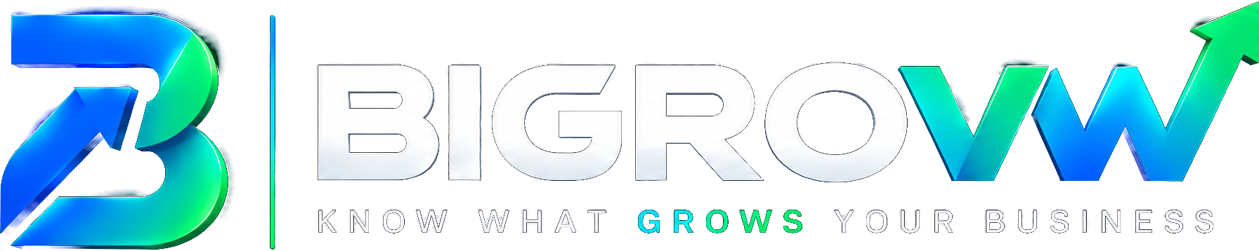 Bigroww &mdash; Know what grows your business.